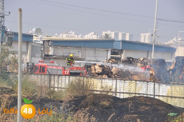 firecartoonsecnd506 (33).JPG